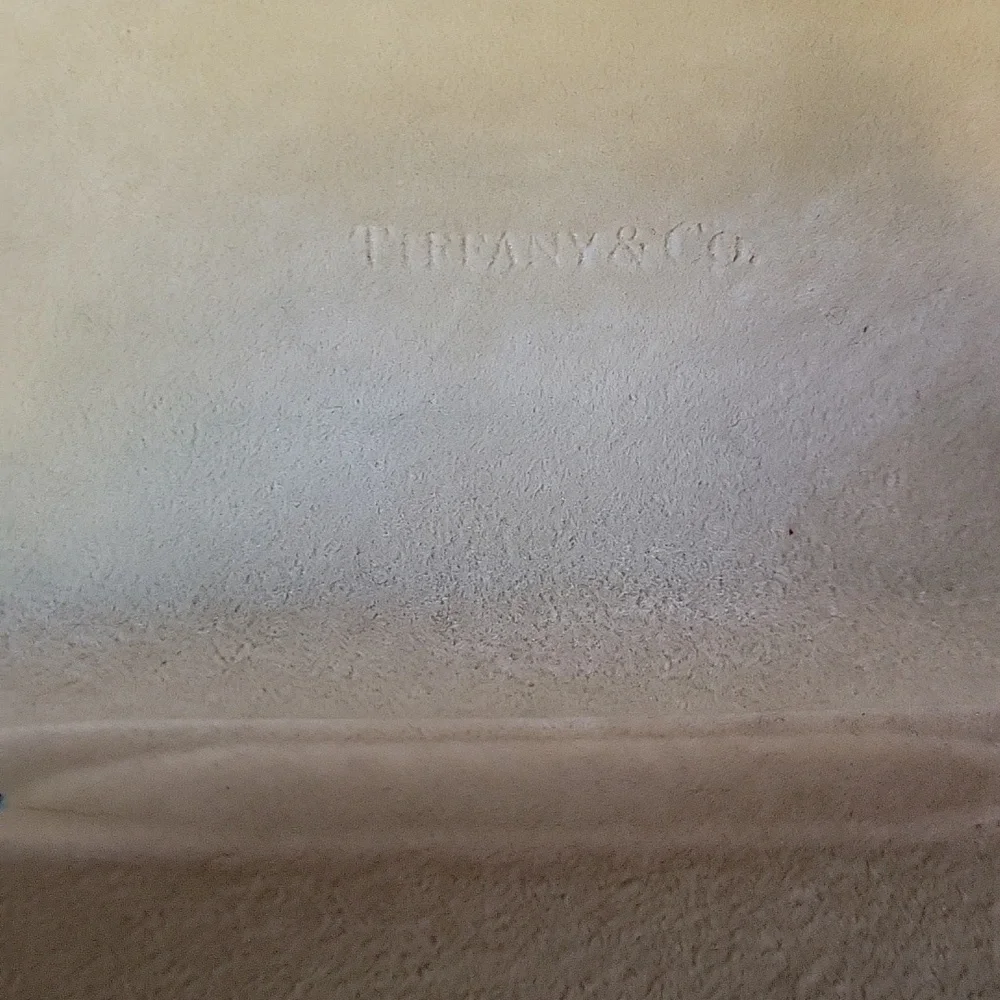 Tiffany & Co., hard eyeglass/sunglass case.